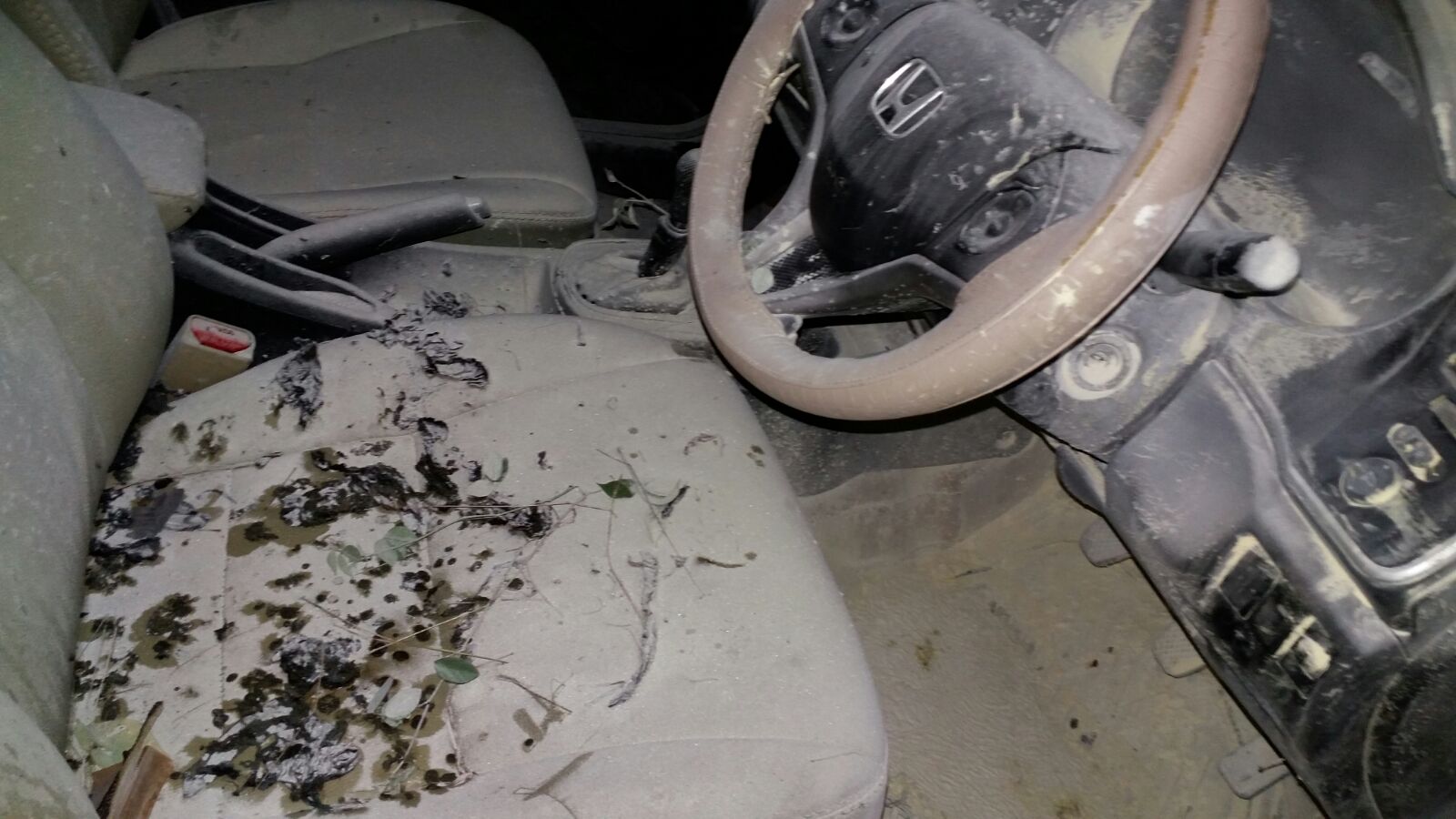 new automobile insurance groups