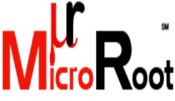 MicroRoot Logo
