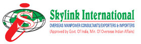 Skylink International Logo