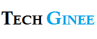 Tech Ginee Logo