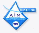 Apex Institute of Management & Technology Logo