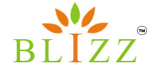 Blizz Biomed Systems Logo