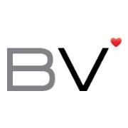 Brandsvillage.com Logo