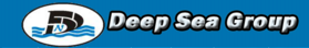 Deep Sea Group Logo
