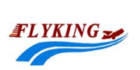 Flyking Courier Services Logo