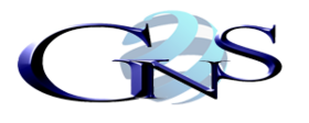 GNS IT Services  Logo