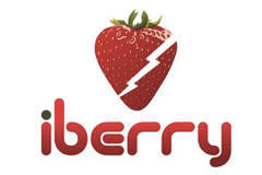 iBerry India Logo