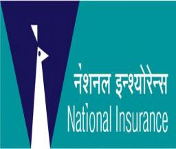 National Insurance Company Logo