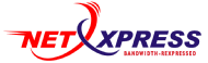 NetXpress / Micronova Network Solutions Logo