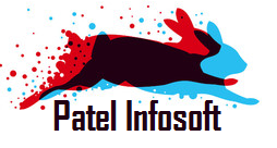 Patel Infosoft Logo
