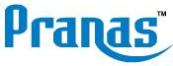 Pranas Technologies  Logo