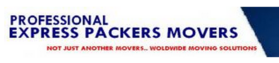 Professional Packers and Movers  Logo