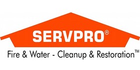 ServPro Technology  Logo
