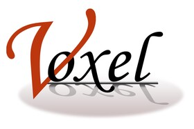 Voxel Info Logo