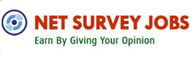 Net Survey Jobs Logo