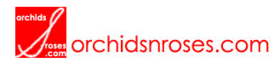 www.orchidsnroses.com Logo