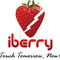 Iberry Logo