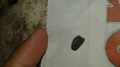 small piece of stone found in amla pickle