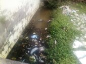 overflowing sewage,clogged drain and water logging